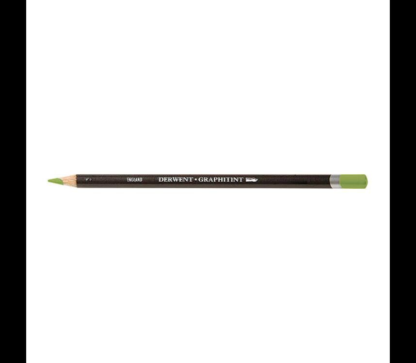 Derwent Graphıtınt B.Kalemı Meadow 10