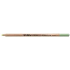 Lyra Rembrant Polycolor Grey Green  L2000072