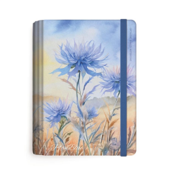 Gıpta Plan Blue Spr.Sert.Kpk. 13X21 120yp Çizgili Kareli Defter