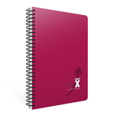 Gıpta Print-X Sp. Sep. PP Kapak Defter A4 250yp 10+2